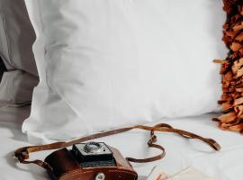 布蒂克酒店，位于安锡的酒店