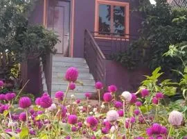 ណាវិតាយ៉ារី បឹងហ្គាឡូ Navitayary Bungalow