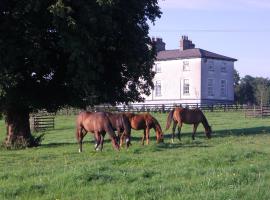 Glebe House，位于Taghshinny的乡间豪华旅馆