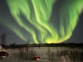 Mellom fjell og fjære