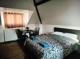 Room near the center with bathroom and kitchen