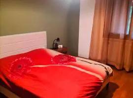 Locazione turistica Gisella