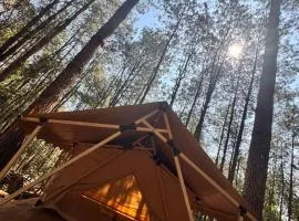 Lattitude Glamp Avandaro