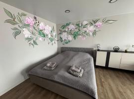 JK apartment，位于雷泽克内的酒店