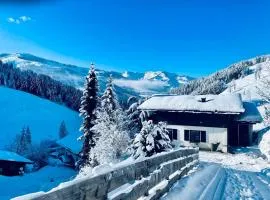 Chalet Pallegg