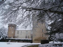 Château de Bouesse，位于Bouesse的酒店