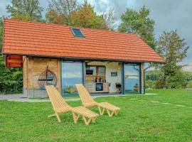 Vineyard cottage Pri mali luži