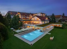 莫林格黑森林酒店