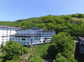 东馆传统日式旅馆，位于山之内町的Spa酒店