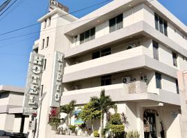 Hotel Nieto Express，位于马塔莫罗斯的酒店