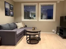 Beautiful apartment in Tromsøya! Free parking for one car