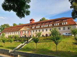 Hotel Tynec，位于Týnec nad Sázavou的酒店