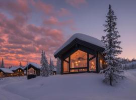 Skjonnhet Cottage - Luxury Ski-in & ski-out chalet，位于科威费耶尔的酒店