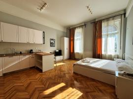 Carol Residence - ultra central - powered by NEO，位于蒂米什瓦拉的自助式住宿