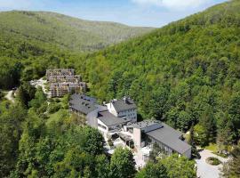 Magnus Resort，位于什切尔克的酒店