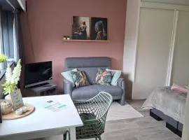 Sfeervolle 2 persoons studio in Bakkeveen