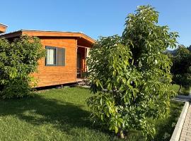 Cirali Zambak Villa，位于契拉勒的酒店