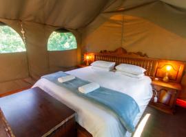 Wilderness Forest Glamping，位于维德尼斯的酒店