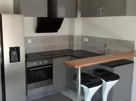 Appartement confortable à Pointe-à-Pitre de 32 m² avec terrasse