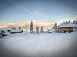 Le Flocon d'Argent，位于莱热的酒店