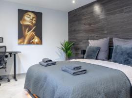 Luxury Apartment Schwabach 2，位于施瓦巴赫的酒店