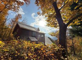 玄関開けたらスキー場!400平米の贅沢空間で大型犬もOKシアタールーム完備 Skiin 400m2 Luxury Lodge Large Dogs OK Big Theater Room，位于米泽市的宠物友好酒店