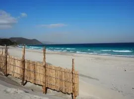 HealingDragon 　Sunrise house Shirahama