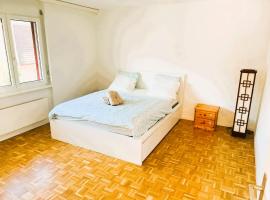 Large Flat with Balcony in Zurich, Kars，位于苏黎世的宾馆