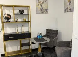 Flat In the heart of Kaunas city center