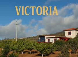 Victoria Tiny Stone House，位于蓬塔杜帕戈的山林小屋