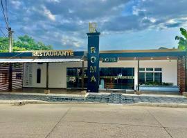 Hotel Roma Urabá，位于阿帕尔塔多的酒店