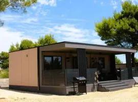 Kauai, Kamp Heron, Drage, Croatia