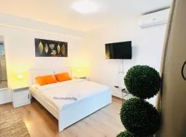 Airport Gardens Studio