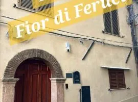 B&B Fior di Feruci