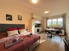 Casa RoEz Bright studio apartment near ChorusLife and downtown