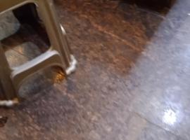 Fransisi，位于Berkenbruck的酒店