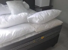 The Good Samaritan 1