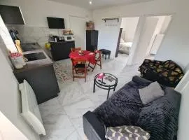 Rive gauche Rive droite Appartements Cosy très bien situés