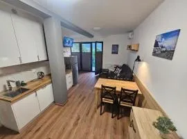 Komfortowy, klimatyzowany apartament Góry Marzeń - Lesko