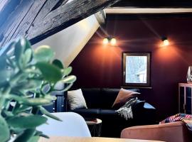 T2 cosy charme alsacien poutres apparentes au centre de Barr，位于巴尔的酒店