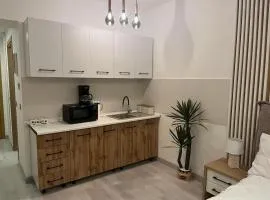 INNA Studio Rin Residence