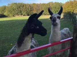 La Fermette Aux Lamas