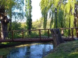 Don Andrés y doña cuca