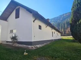 Ferien- und Pferdegut Schloss Treffen