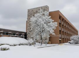 七岛市总督酒店，位于七岛市的酒店