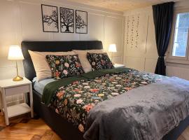 Dammablick Göschenen，位于格舍嫩的酒店