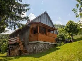 House Zeleni brig