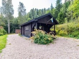 VAR799-Torsby-Bada-125-a