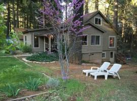 Cozy Vacation Cottage Rental near Lassen Volcanic National Park, Northern California，位于Shingletown的酒店
