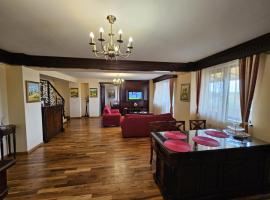 Penthouse Renașterii Amazonia，位于蒂米什瓦拉的酒店